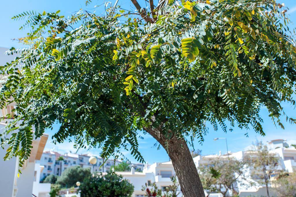 Villa Vista Anders Mar Lagos Exteriér fotografie